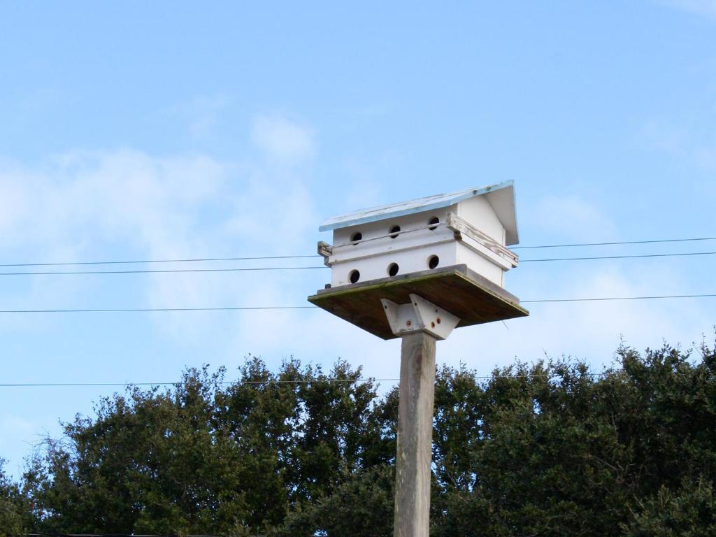 Falcon Motel Buxton Kültér fotó